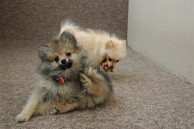 Feb21b_05_105.JPG