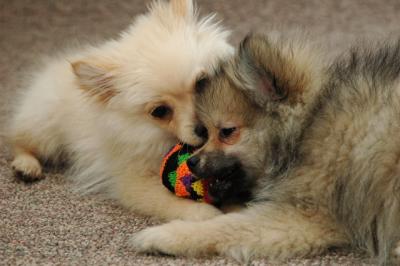 Feb21b_05_116.JPG