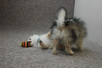 Feb21b_05_119.JPG