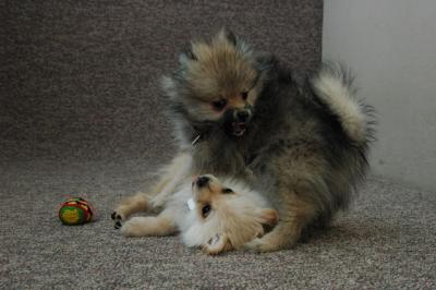 Feb21b_05_126.JPG