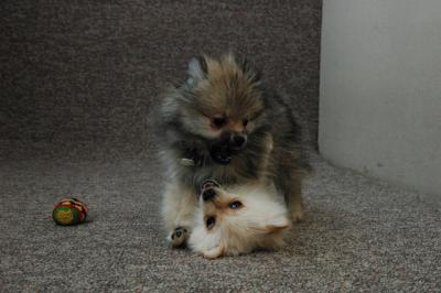 Feb21b_05_127.JPG