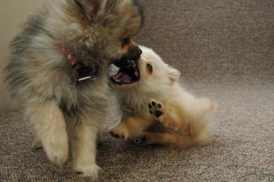 Feb21b_05_138.JPG