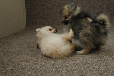 Feb21b_05_139.JPG