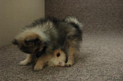 Feb21b_05_142.JPG