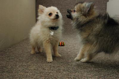 Feb21b_05_143.JPG
