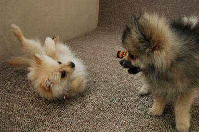 Feb21b_05_144.JPG