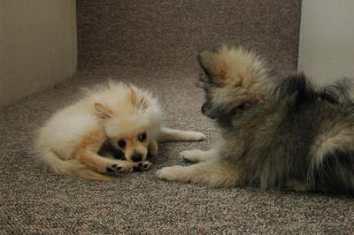 Feb21b_05_152.JPG