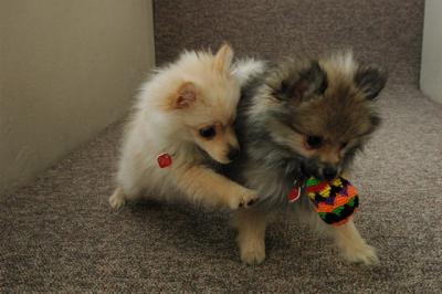 Feb21b_05_154.JPG