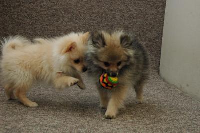 Feb21b_05_155.JPG