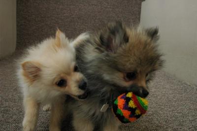 Feb21b_05_157.JPG
