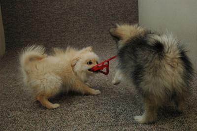 Feb21b_05_163.JPG