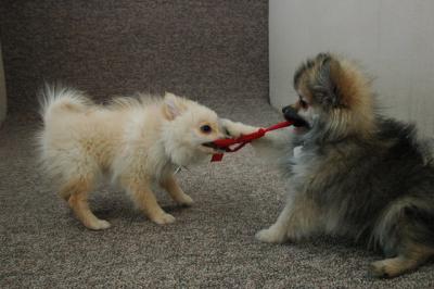 Feb21b_05_164.JPG