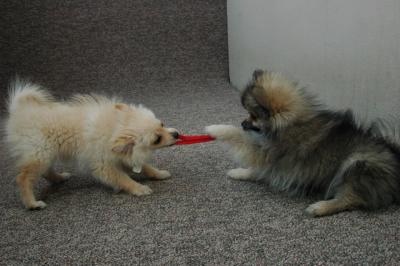 Feb21b_05_165.JPG