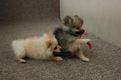 Feb21b_05_168.JPG