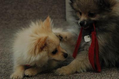 Feb21b_05_182.JPG