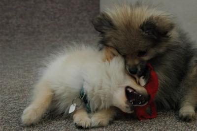 Feb21b_05_183.JPG