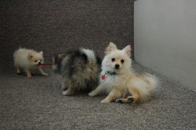 Feb21b_05_188.JPG