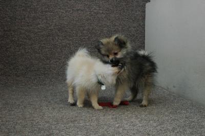 Feb21b_05_205.JPG