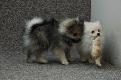 Feb21b_05_212.JPG