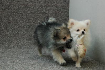 Feb21b_05_213.JPG