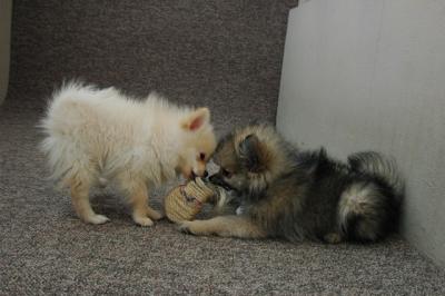 Feb21b_05_216.JPG