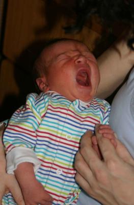 Yawning Baby Lyons