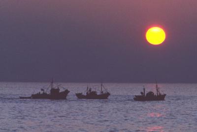 Kim Schmidt: Portuguese Fishing Boats