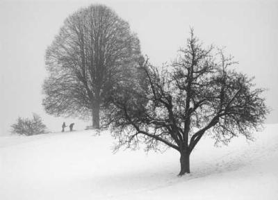 Mary Beth Abarbanel: Snowy Afternoon in Switzerland