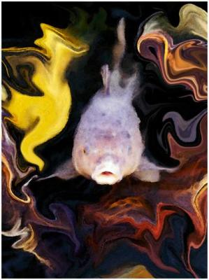 Pat Egaas: Grayfish Abstract