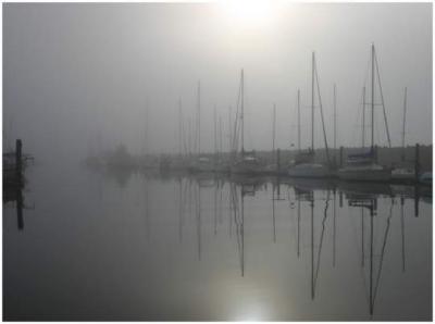 Jon Root: Foggy Morning
