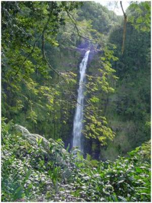 Kay Root: Kahuna Falls