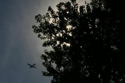 Skies