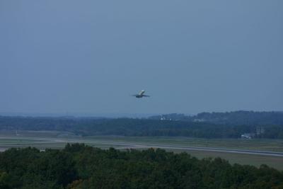 bjjb_udvar_hazy_32.jpg