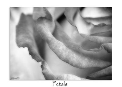 Petals