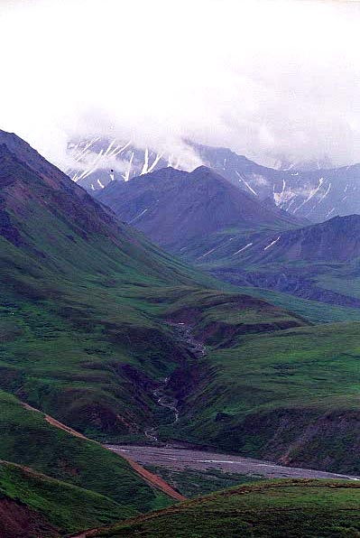 Denali National Park