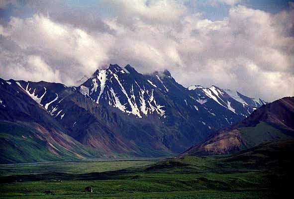 Denali National Park