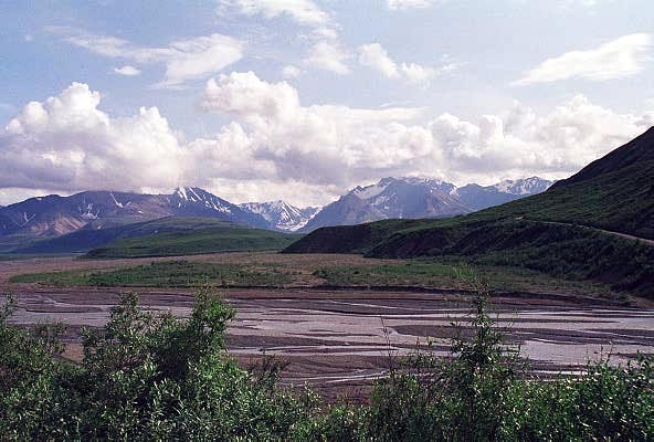 Denali National Park