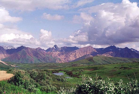 Denali National Park