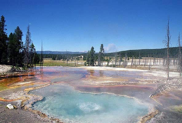 Lower Geyser Basin