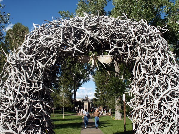 Arch of Elk Antlers, Jackson WY