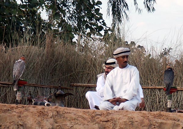 Falconers, Emirati Bedouin Camp