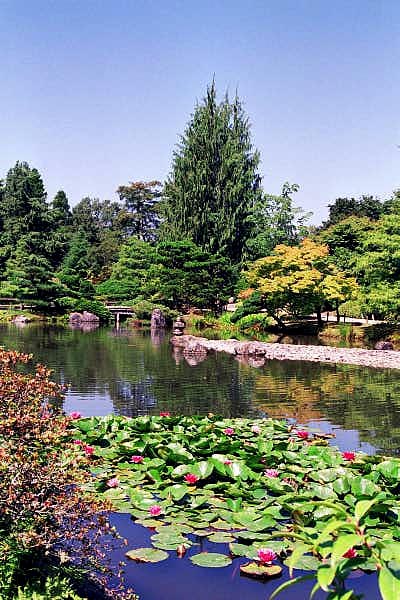 Japanese Garden, Seattle