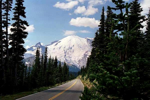 The road to Sunrise, Mount Rainier