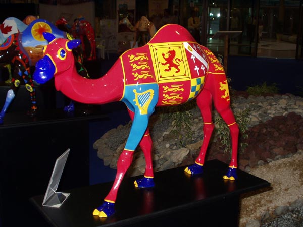 UK camel
