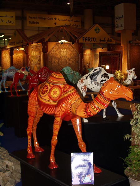 Pakistan camel
