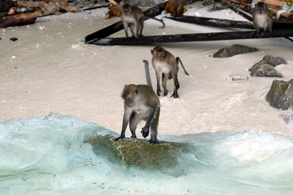 Monkey Beach, Ko Phi Phi Don