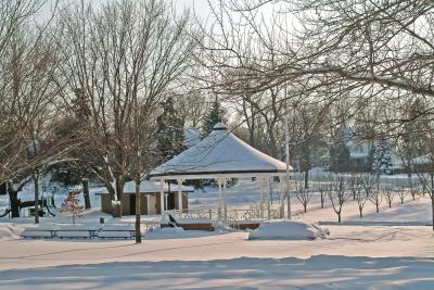 Winter in Foster Park