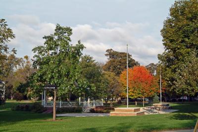 Fall Comes to Foster Park