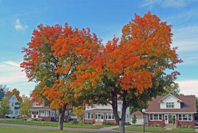 Autumn Splendor - 4th Avenue SE - Le Mars, Iowa