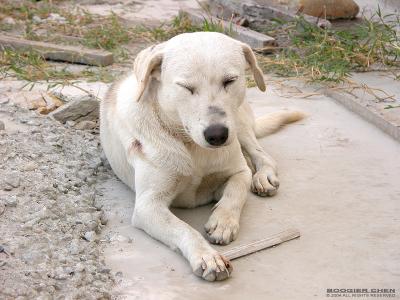 u39/boogier/medium/35045153.nameless1638.jpg